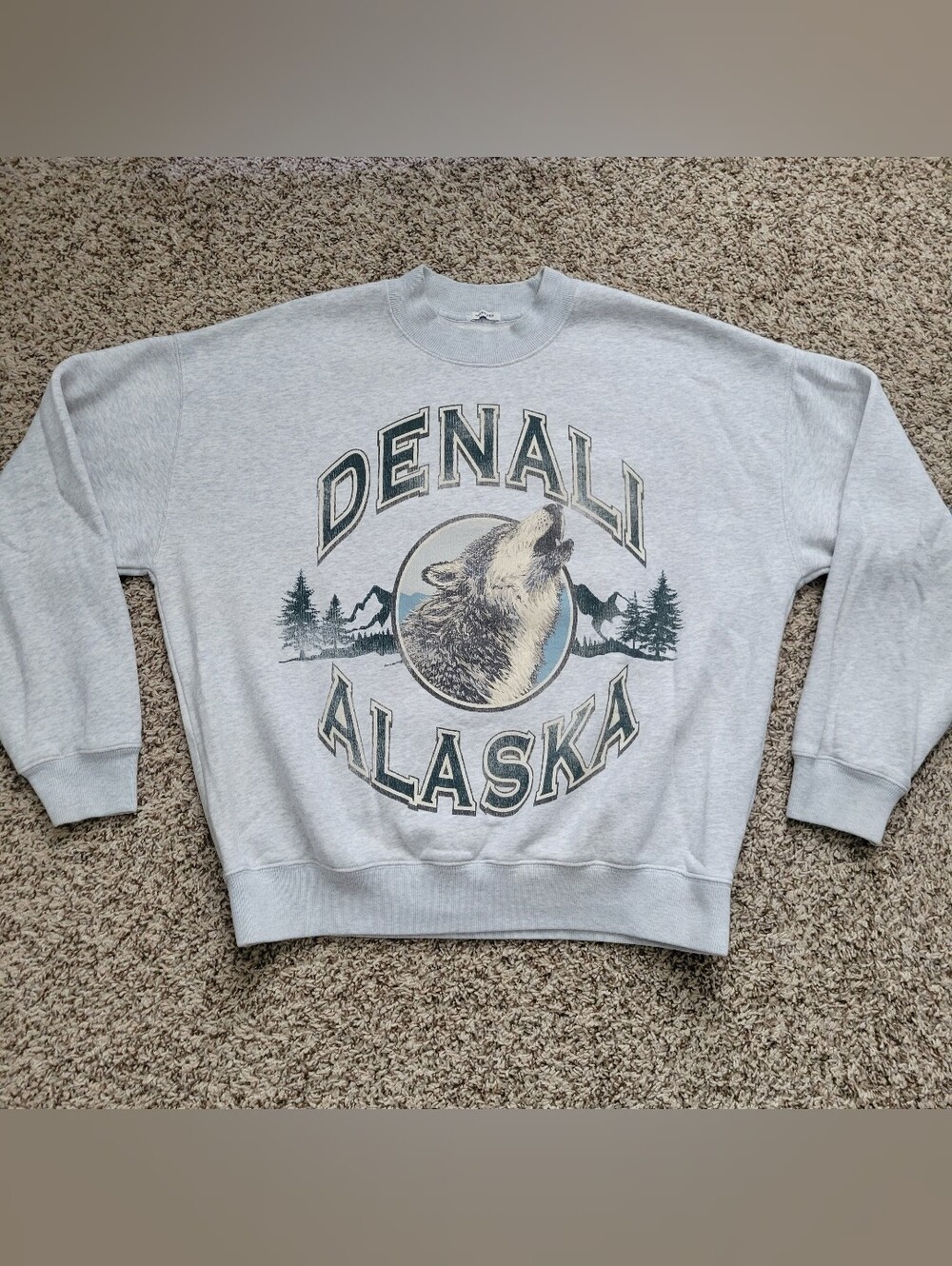 Abercrombie & Fitch Sweatshirt Denali Alaska Gray Wolf Crew Oversized XS X Small